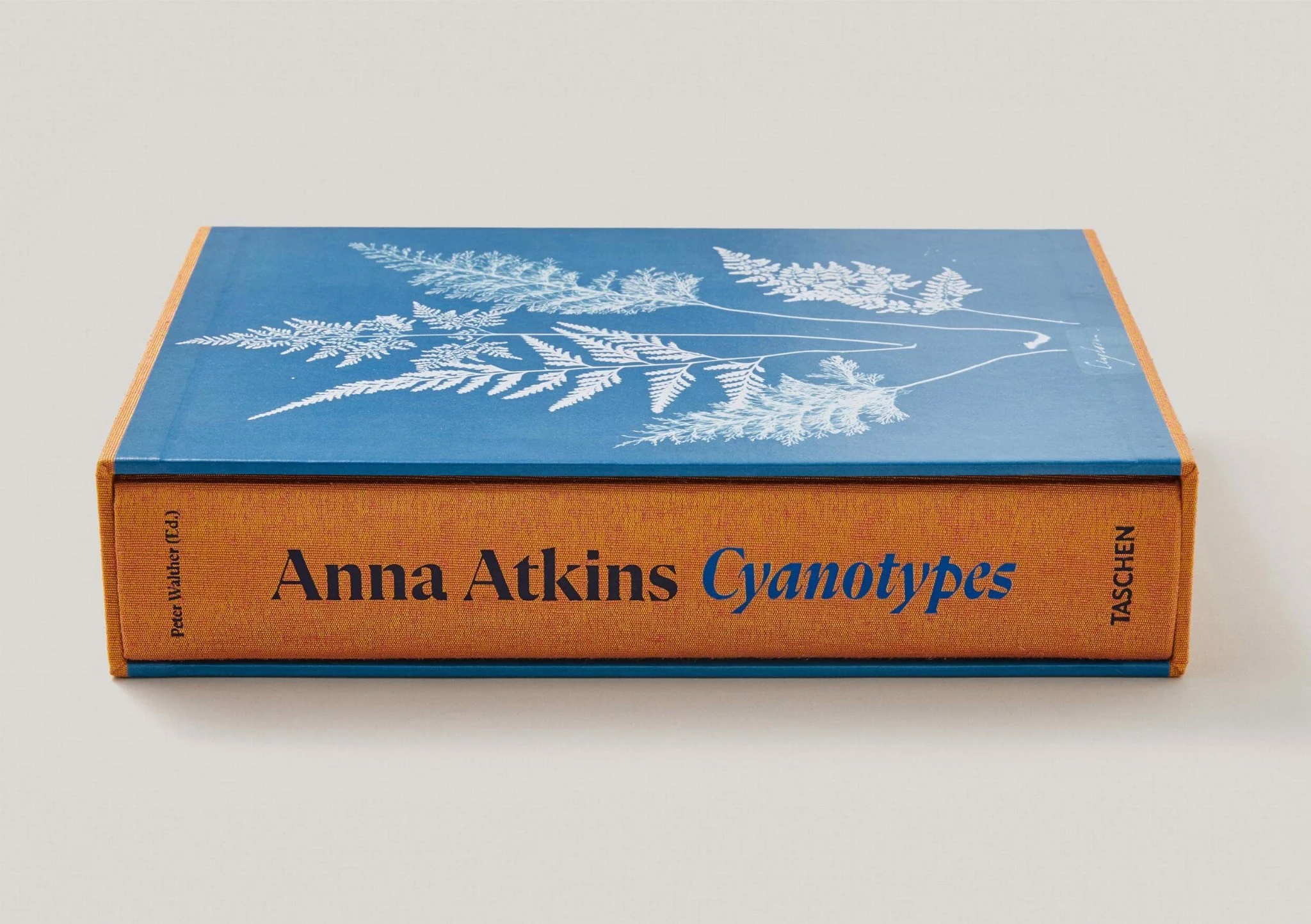 Artbook - Sách Tiếng Anh - Anna Atkins: Cyanotypes