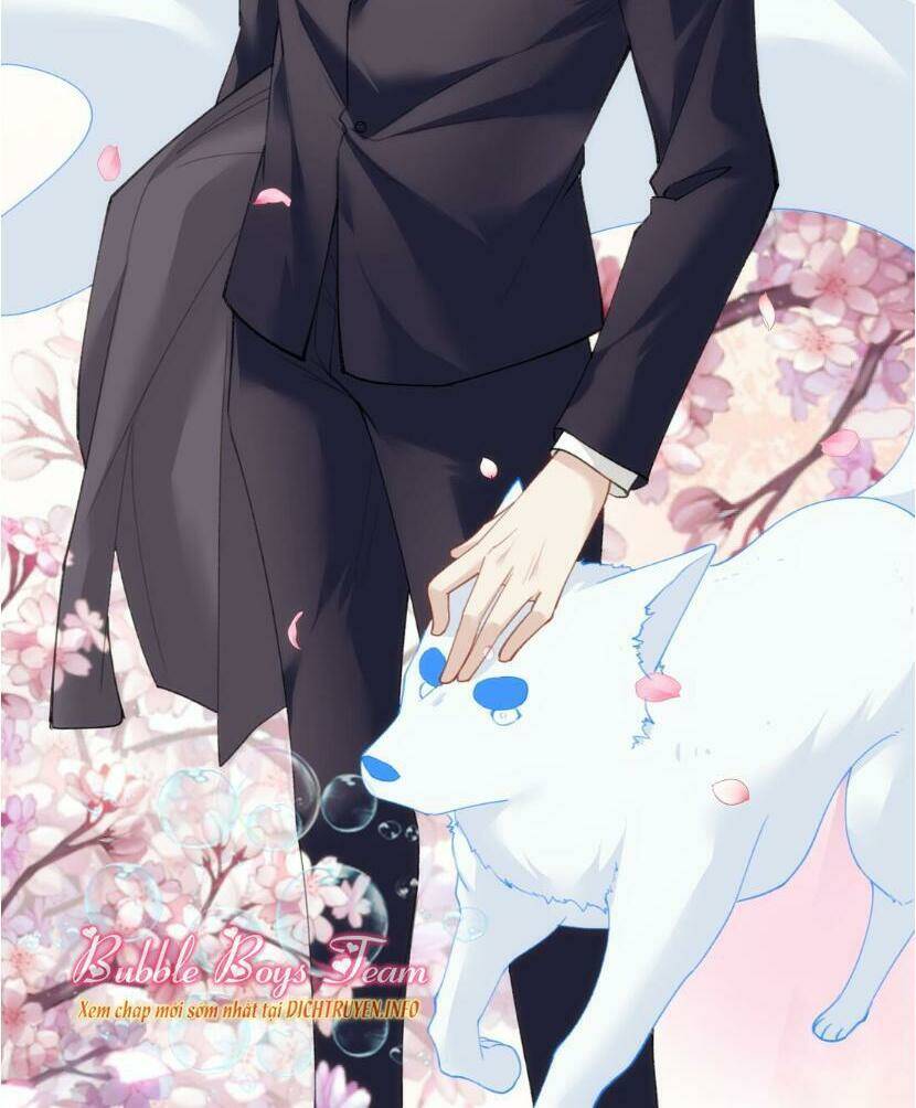 dù là sói cô độc cũng có tình yêu của sẻ nhỏ chapter 21 31