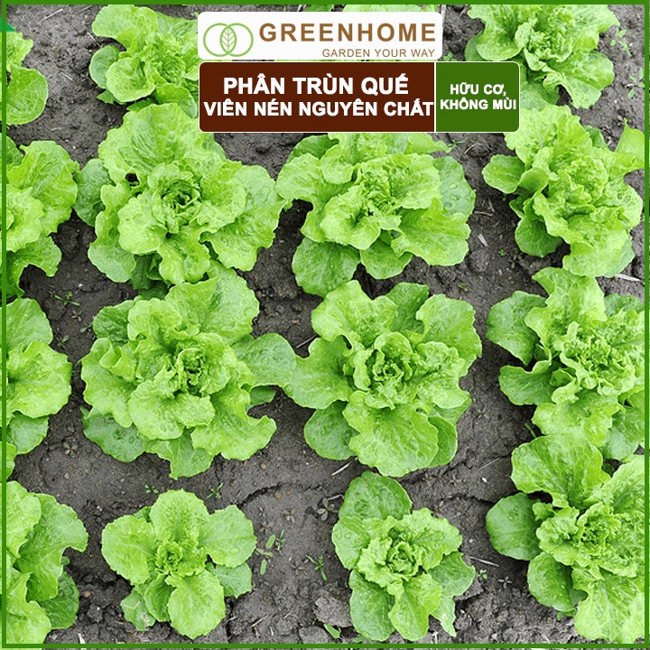 Phân Trùn Quế Viên Nén Greenhome, Lavamix, Bao 1kg, Dinh Dưỡng Hữu Cơ, Không Mùi, Tốt Cho Lan, Bonsai, Rau, Cây Ăn Trái