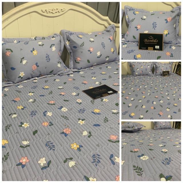 Bộ ga trần bông bo chun Bambillo - cotton 100%, vừa đệm cao 15cm, đủ kích thước