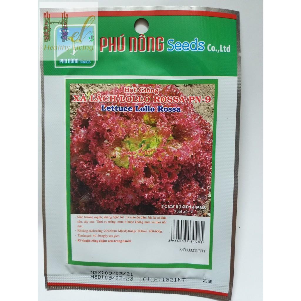 PN - Hạt Giống Xà Lách Tím Xà Lách Lollo Rossa PN-9 - Trồng Rau Xanh Rau Sạch Bằng Đất Sạch, Mùn Dừa Và Phân Bón Hữu Cơ