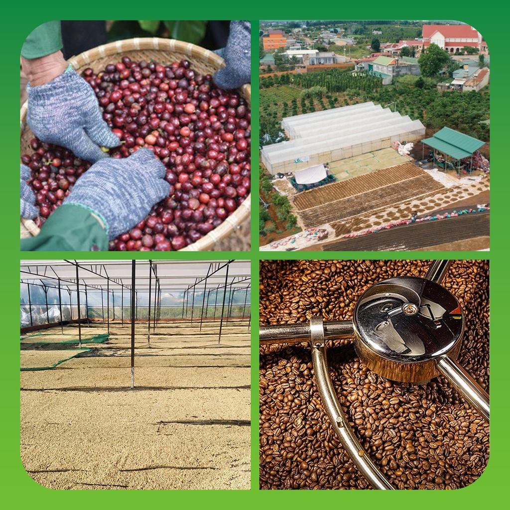 Cà Phê Nguyên Chất Laha Blend -  Arabica & Robusta - Laha Cafe - 500 gram