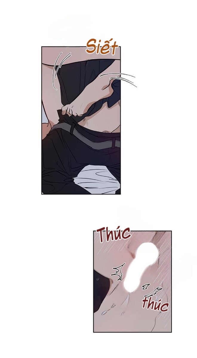 thành phố cạm bẫy chapter 5 35