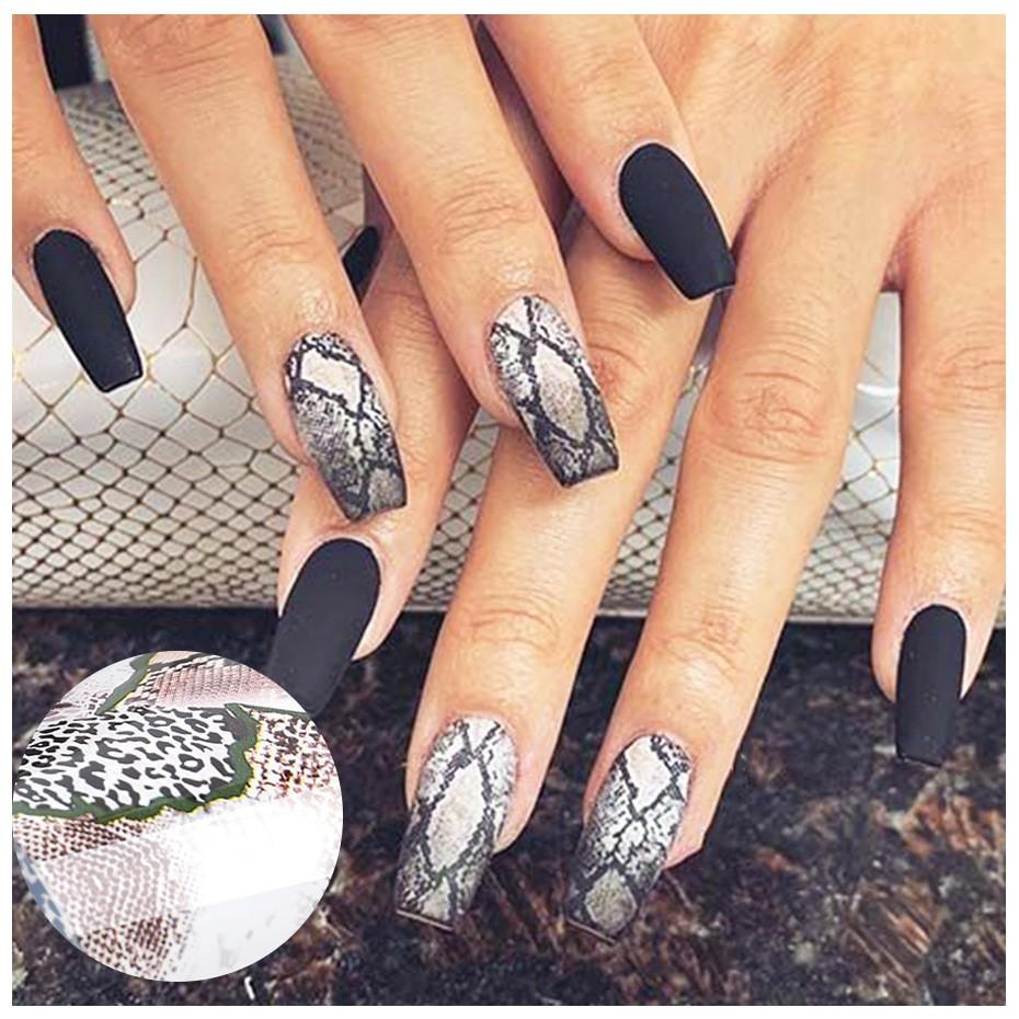 Khay foil 10 mẫu da rắn