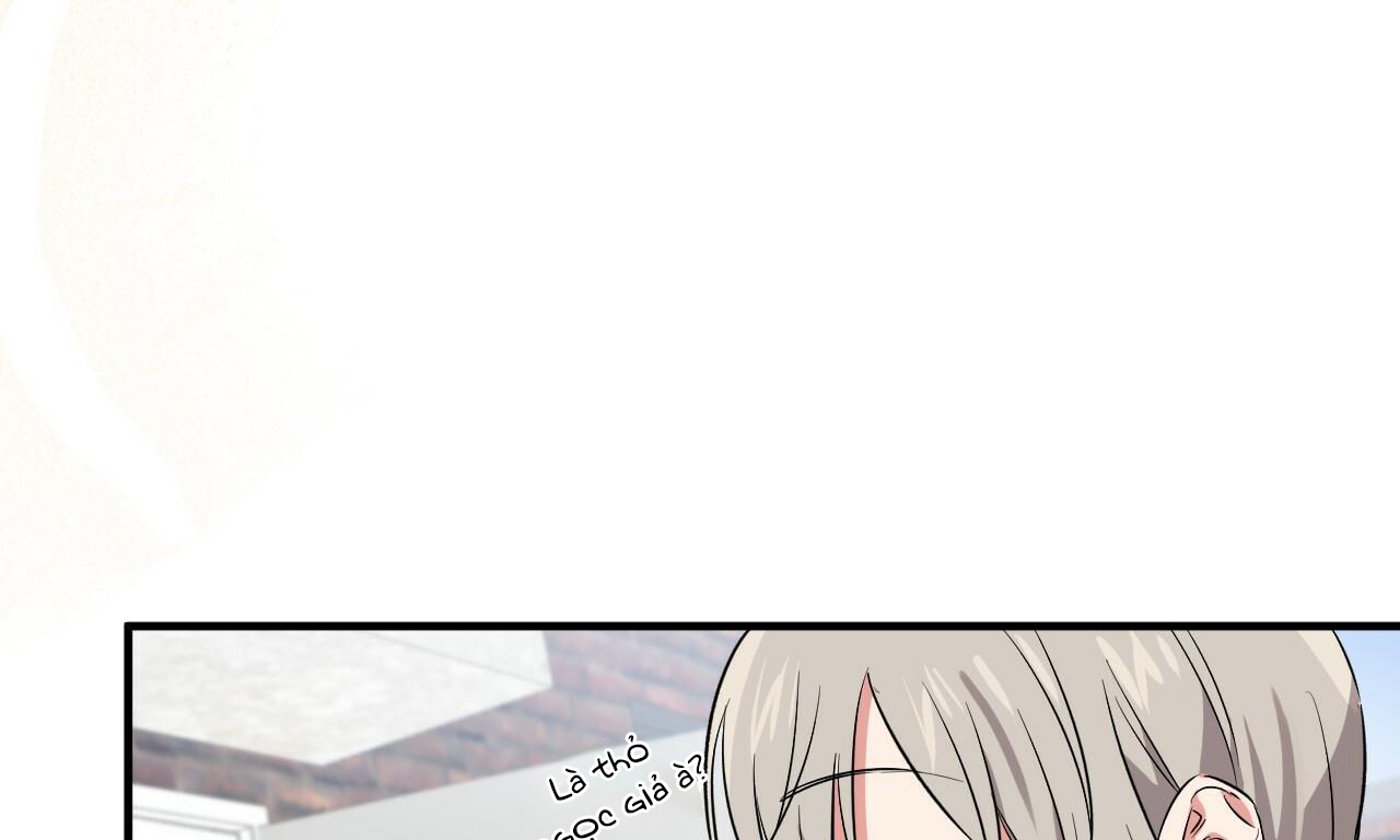 đàn thỏ của habibi chapter 55 8