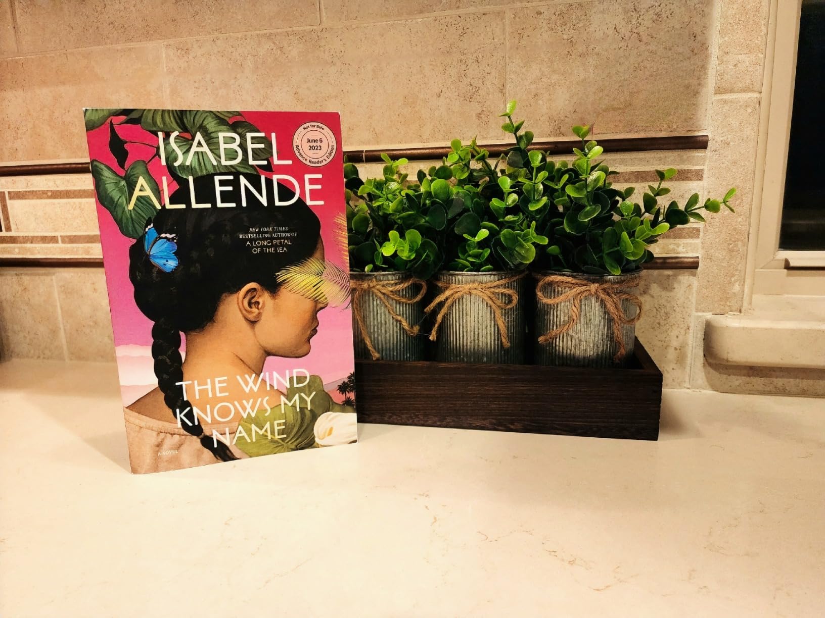 Sách The Wind Knows My Name: A Novel