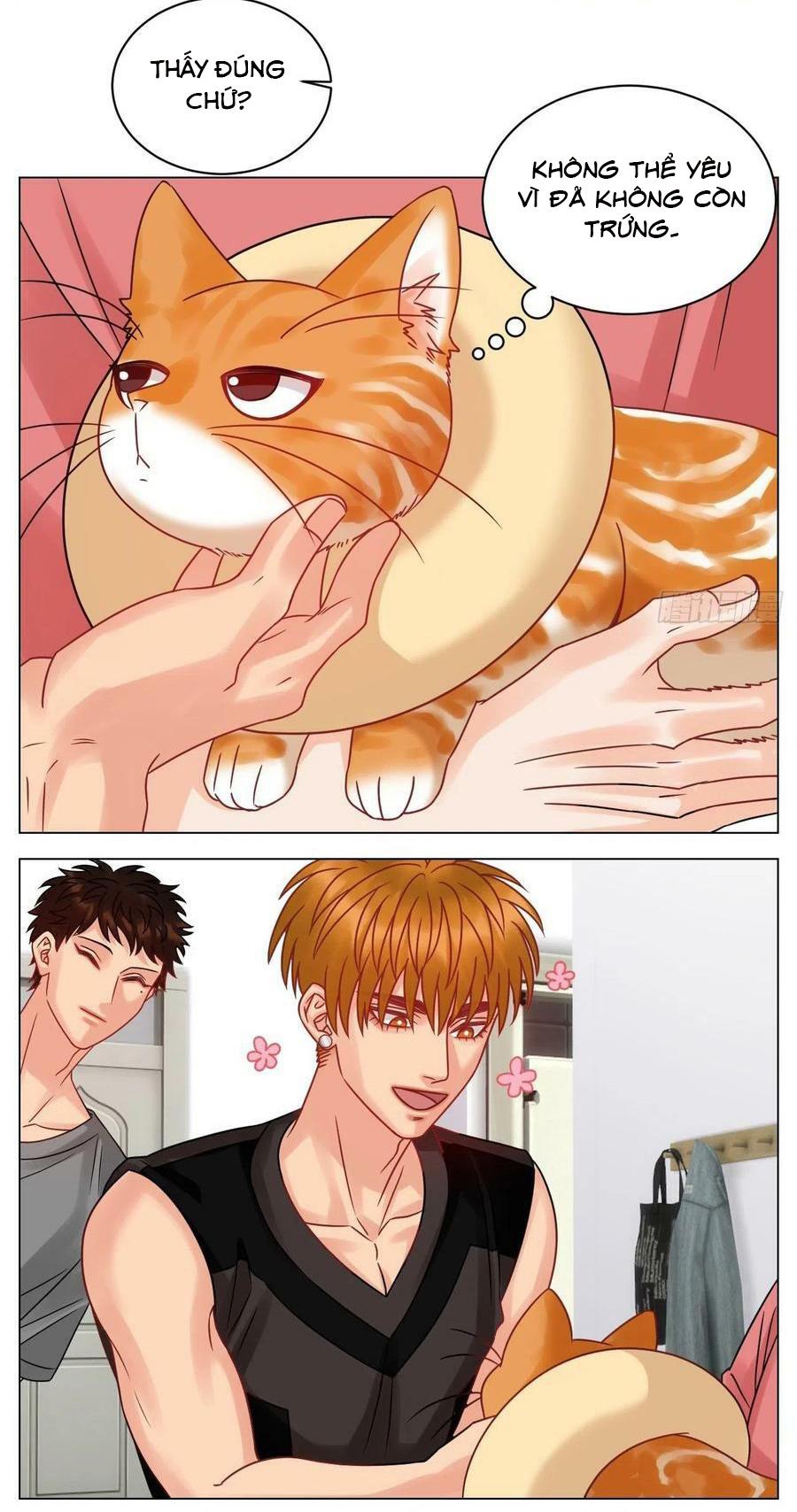 ký túc xá nam phòng 303 chapter 204 4