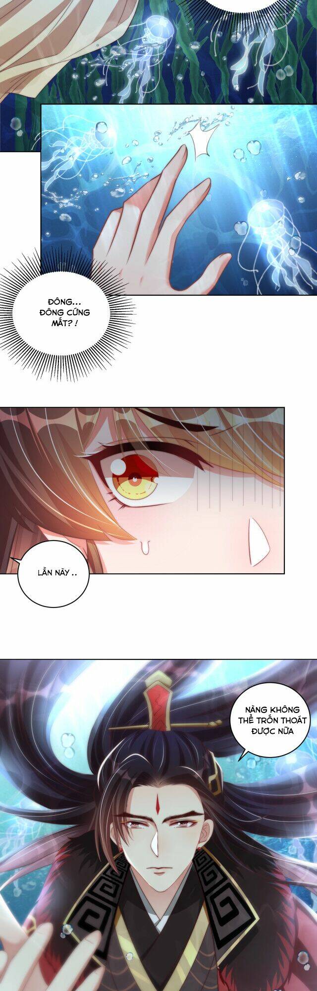 công chúa tại thượng: quốc sư mời xuống kiệu chapter 69 24
