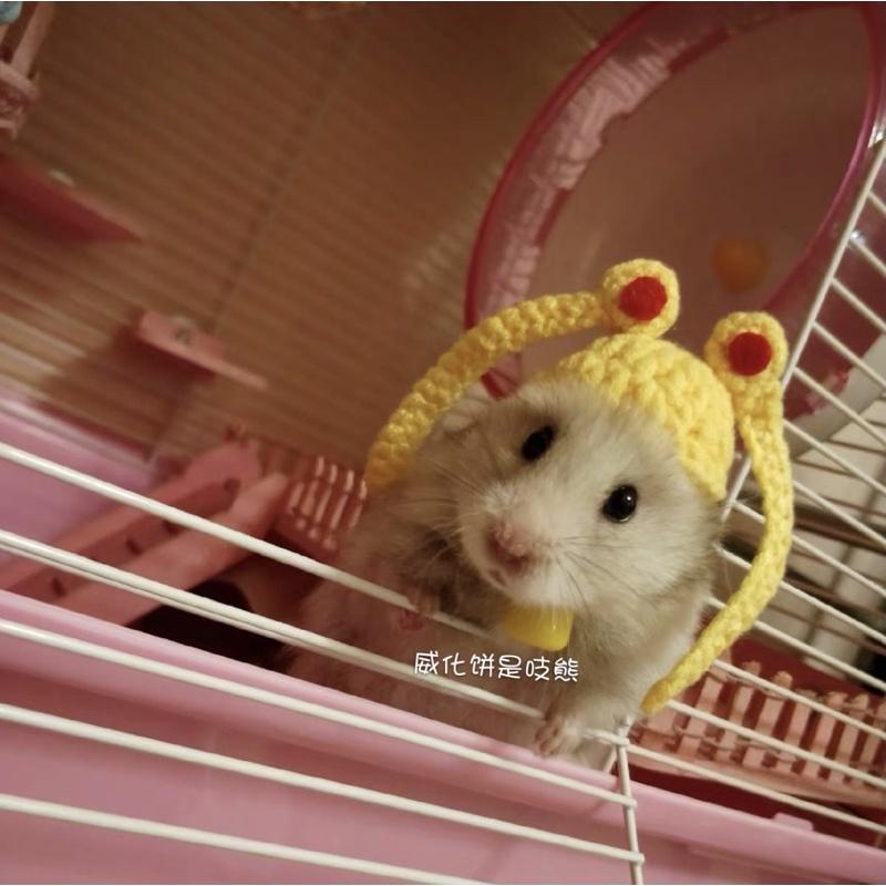 Mũ nón hamster thuỷ thủ mặt trăng