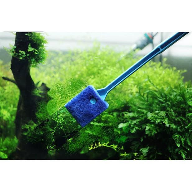 Cây cọ rửa vệ sinh chà bể hồ cá thủy sinh, hồ cá cảnh siêu tiện lợi - Hàng Công Ty