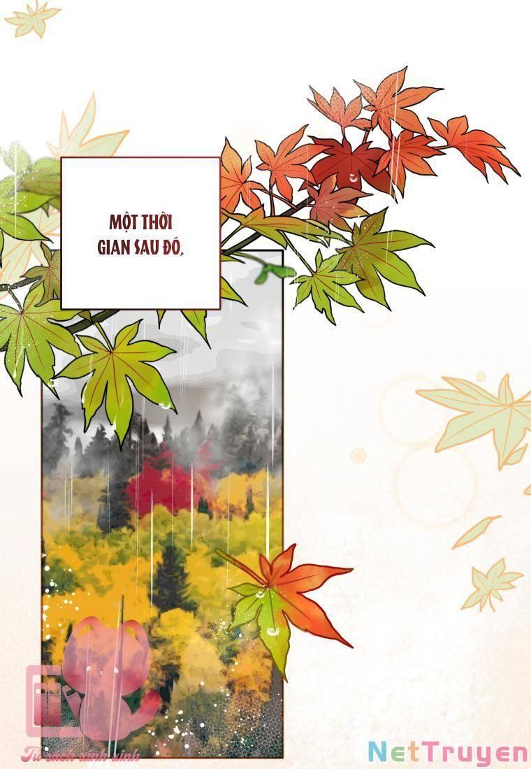 Được Yêu Thương Mà Còn Ngại Ngùng Sao! chapter 3 38