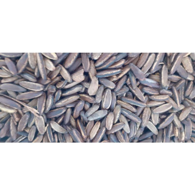 500gram hạt giống phượng vĩ