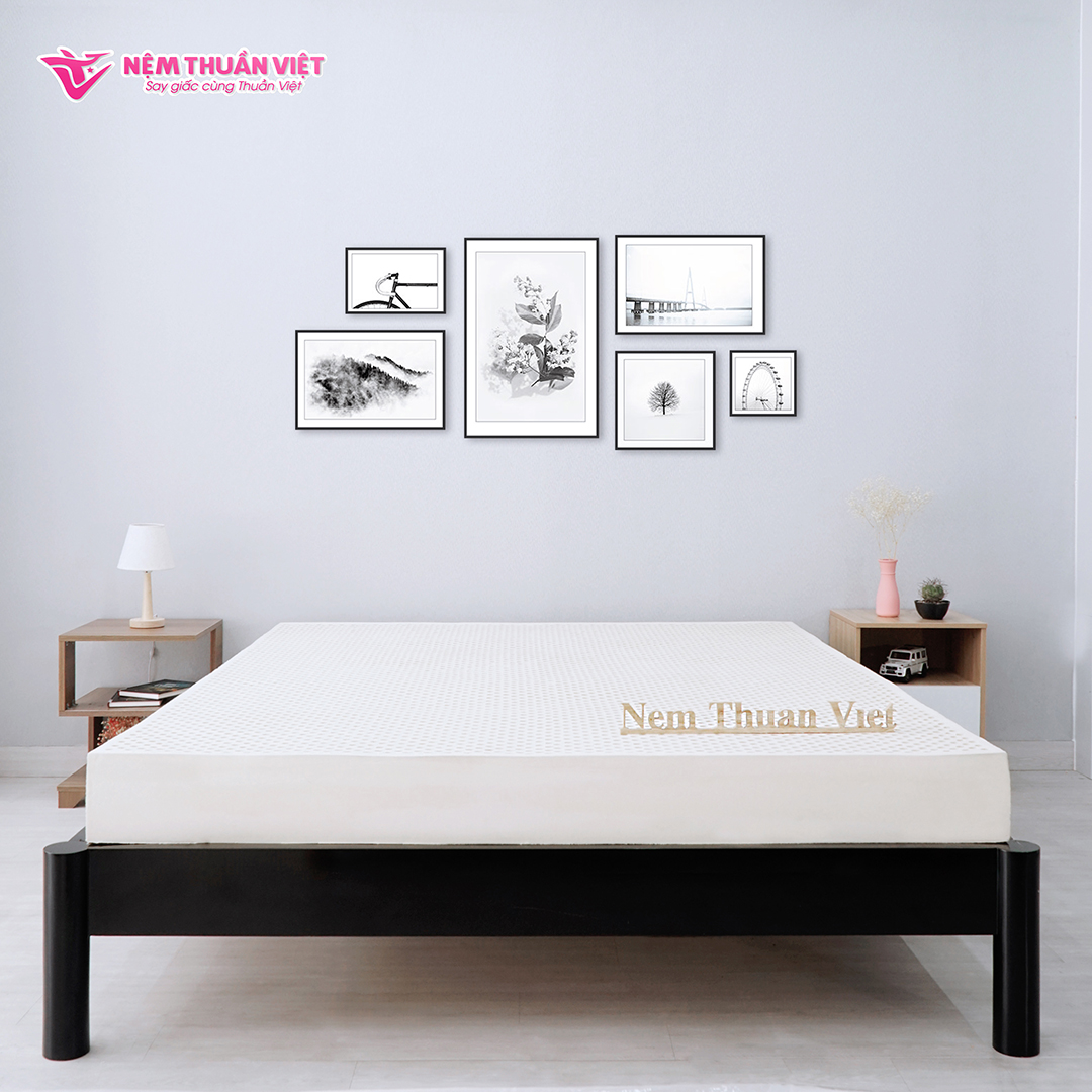 Nệm Cao Su Thuần Việt Legacy Định Hình, Nâng Đỡ Cơ Thể Vượt Trội
