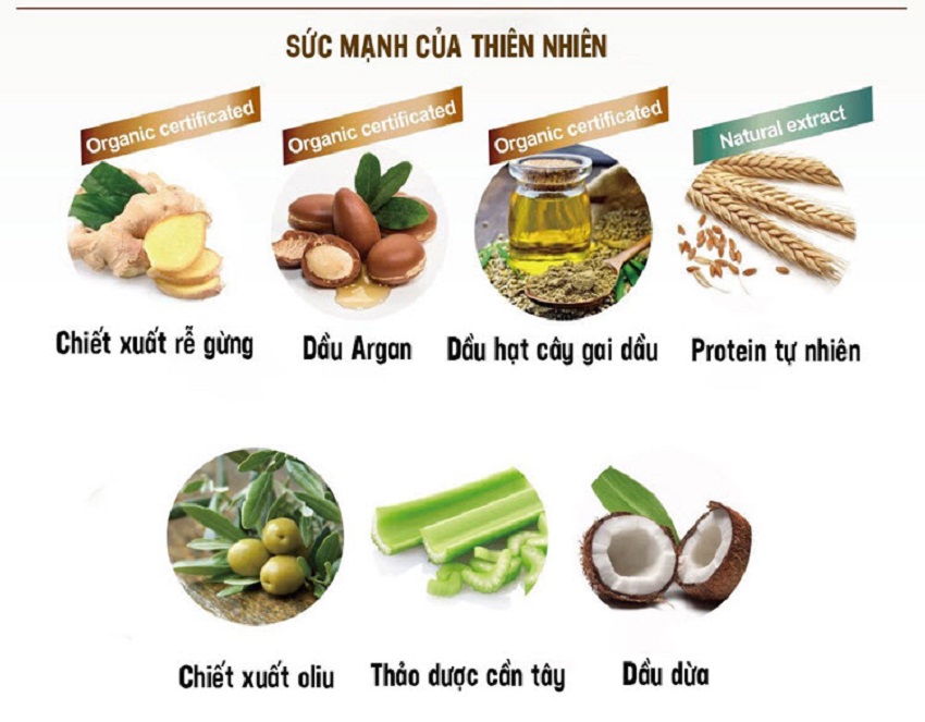 Combo 6 chai - Bộ du lịch chăm sóc cơ thể Jie Fen, Taiwan