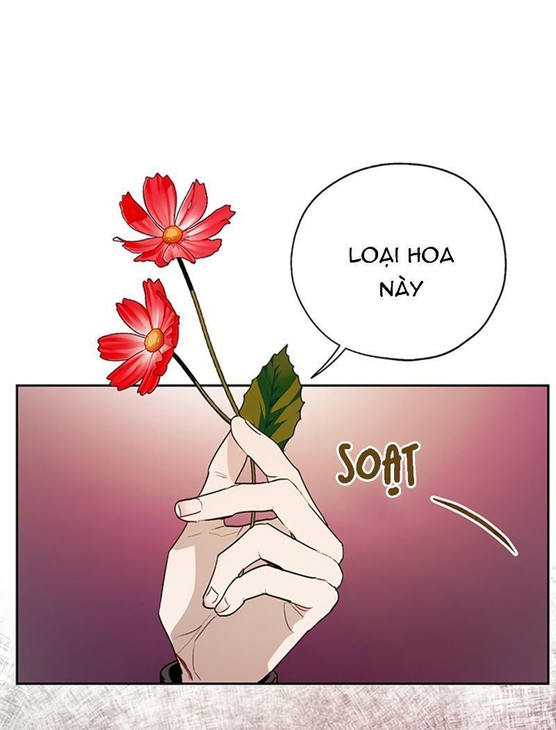 cách để cứu rỗi anh trai của nữ chính chapter 20 3