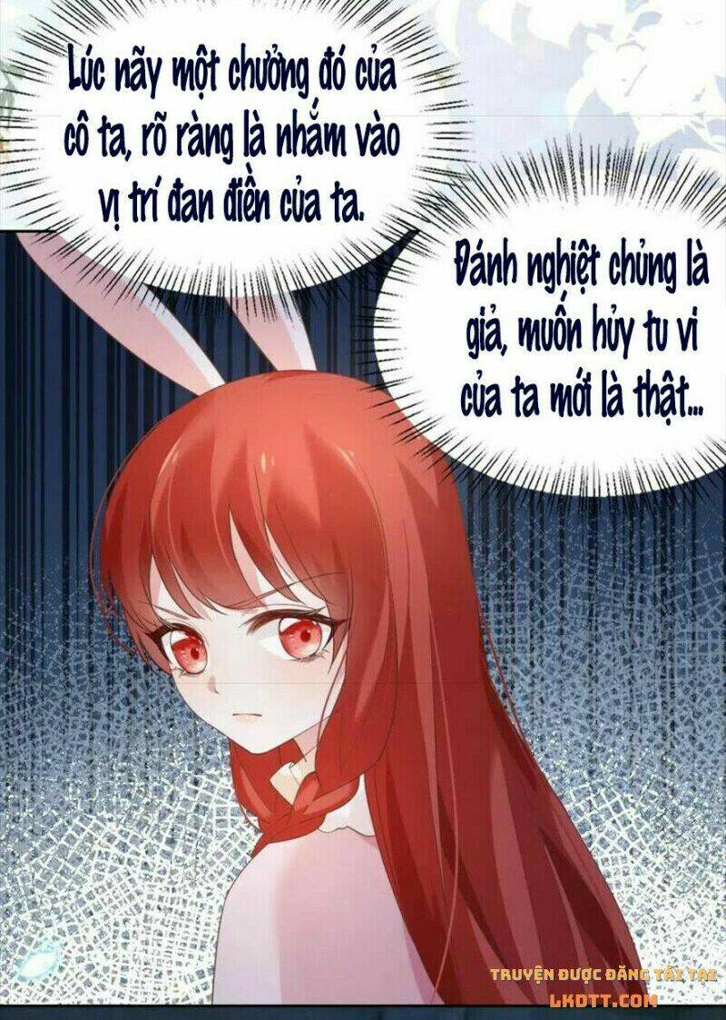 hắc hóa nam chính trực tuyến nuôi thỏ chapter 62 32