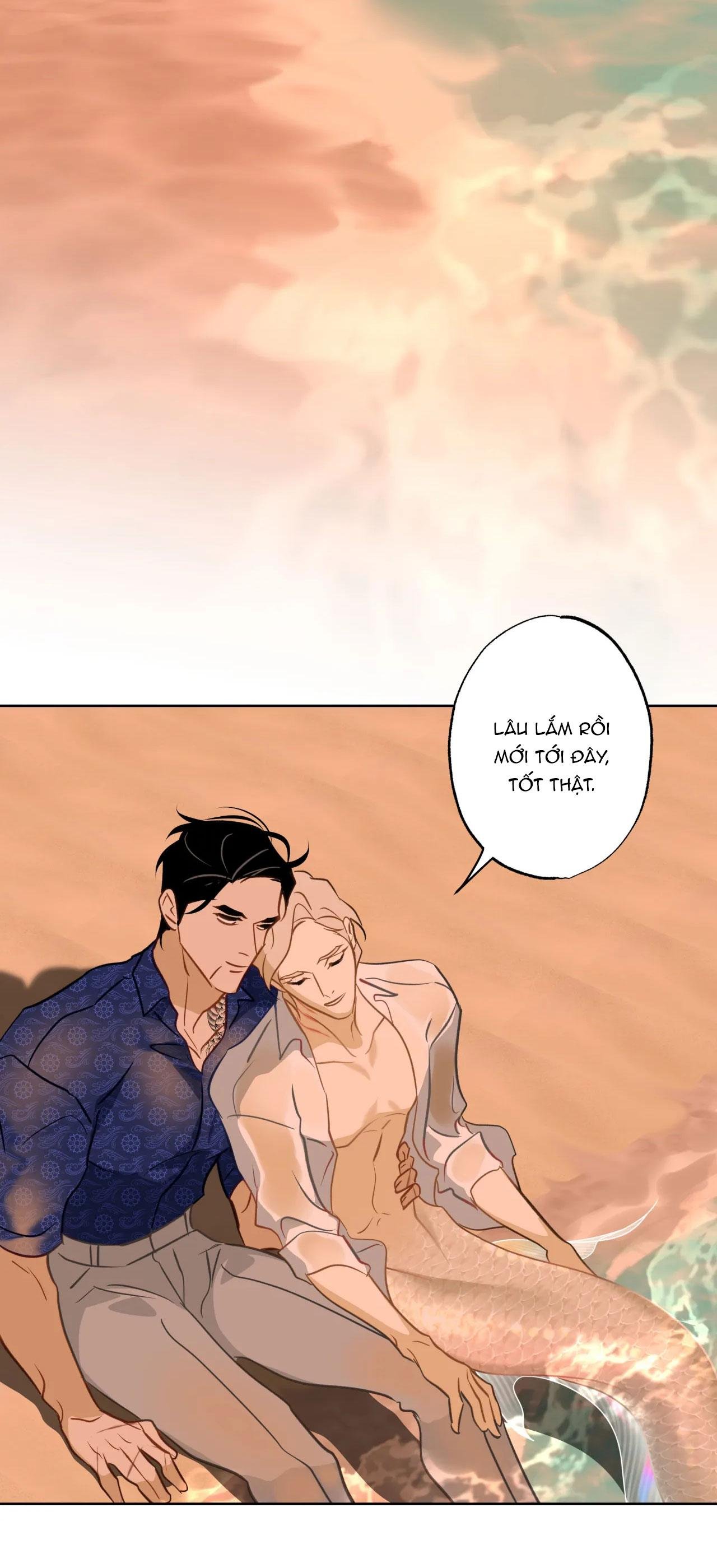 mỹ nhân ngư chapter 14 22