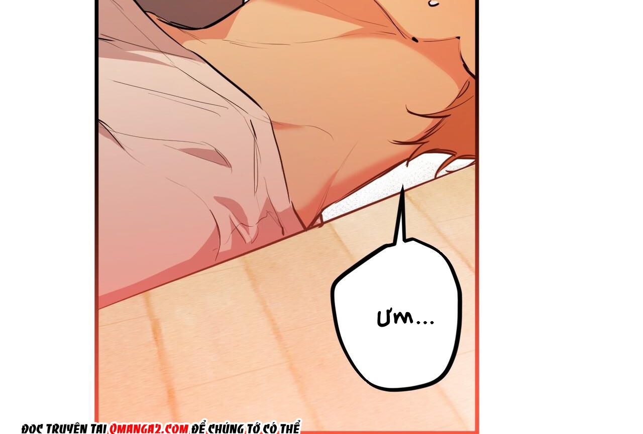 đàn thỏ của habibi chapter 28 188