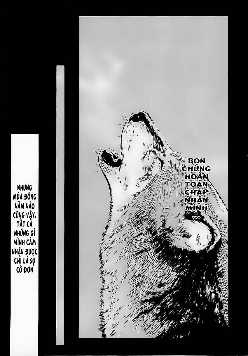 wolf guy - wolfen crest chapter 41 16