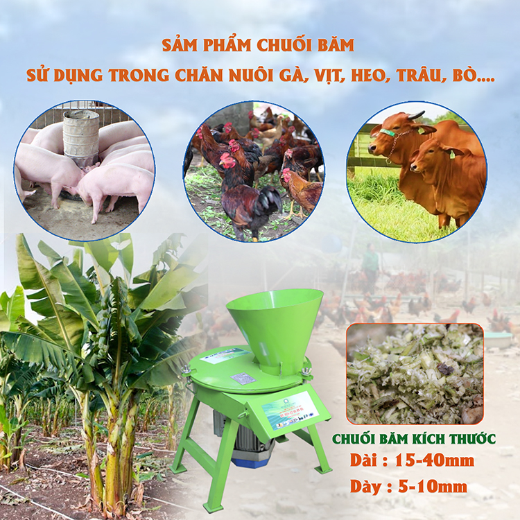 Máy băm chuối dạng hạt 3A2,2Kw - Hàng Chính Hãng