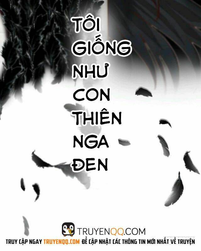 thiên nga đen chapter 0 12