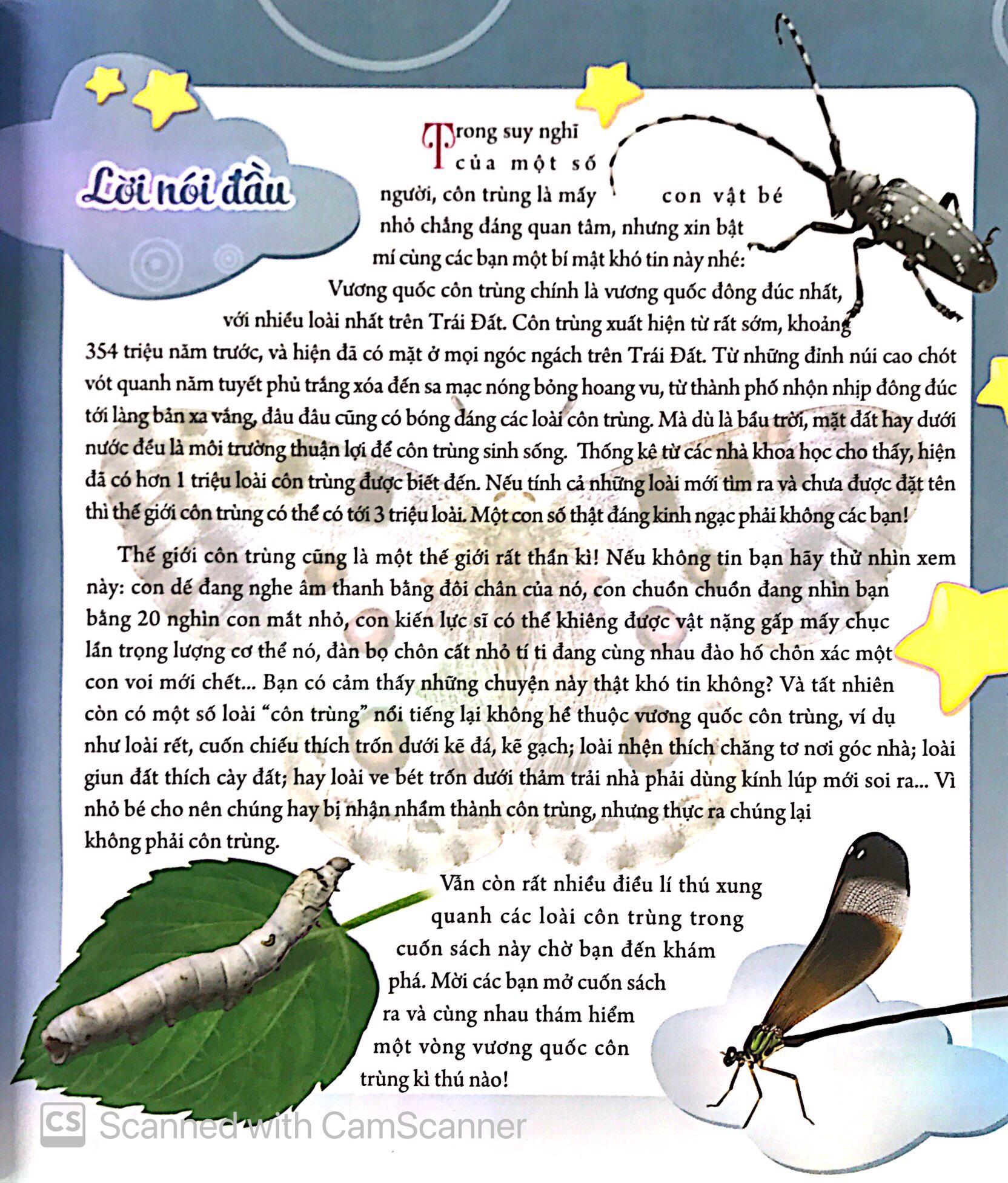 Bách Khoa Động Vật Dành Cho Trẻ Nhỏ - Côn Trùng