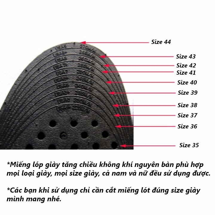 02 Miếng Lót Giày Độn Đế Tăng Chiều Cao