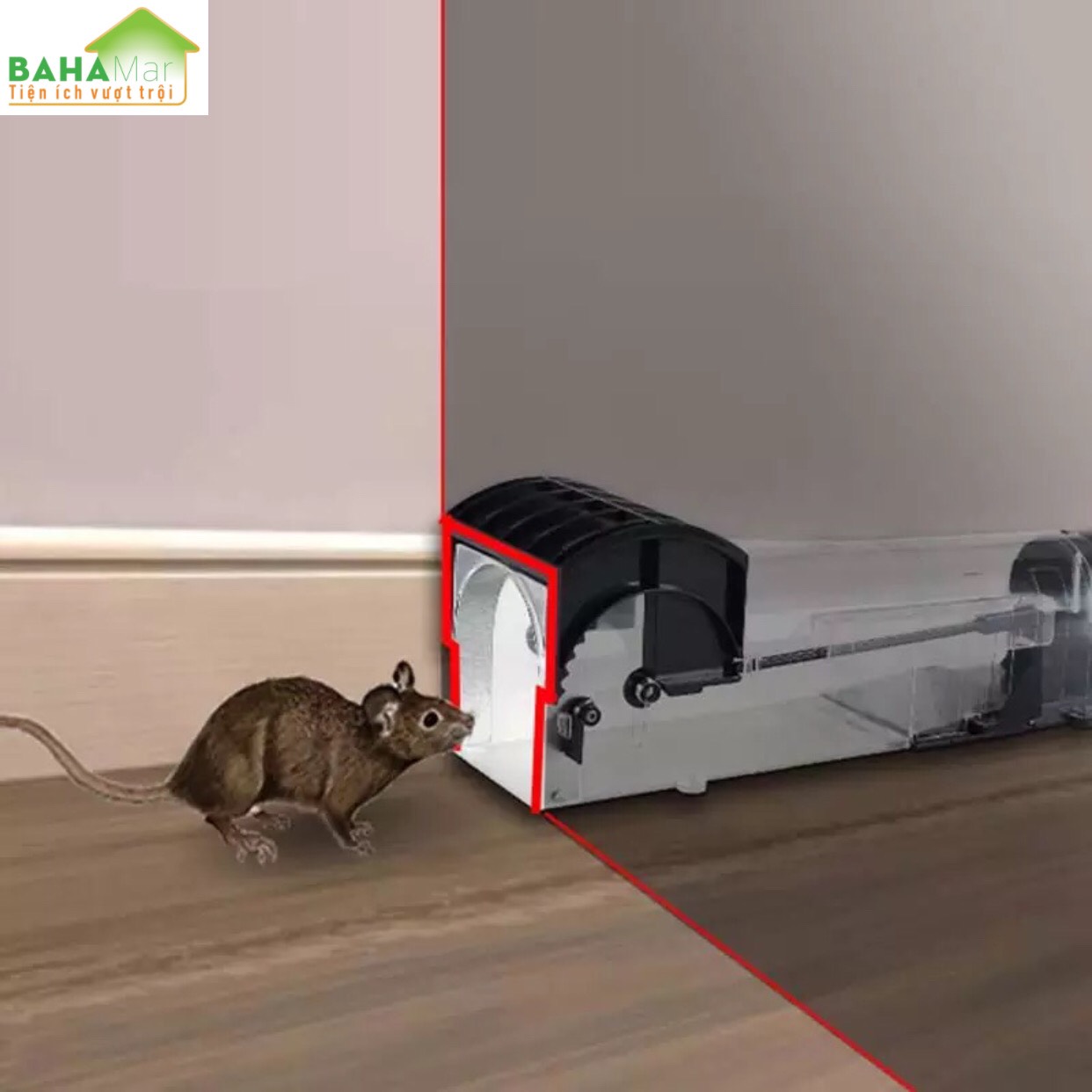 BẪY CHUỘT THÔNG MINH NHÂN ĐẠO TỰ ĐỘNG KHÓA "BAHAMAR" dụ chuột vào và khóa lại để chuột không thoát ra được và yếu dần