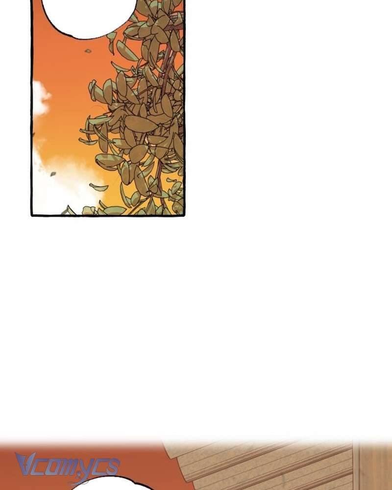 chuyện tình hoa lưu ly chapter 2 137