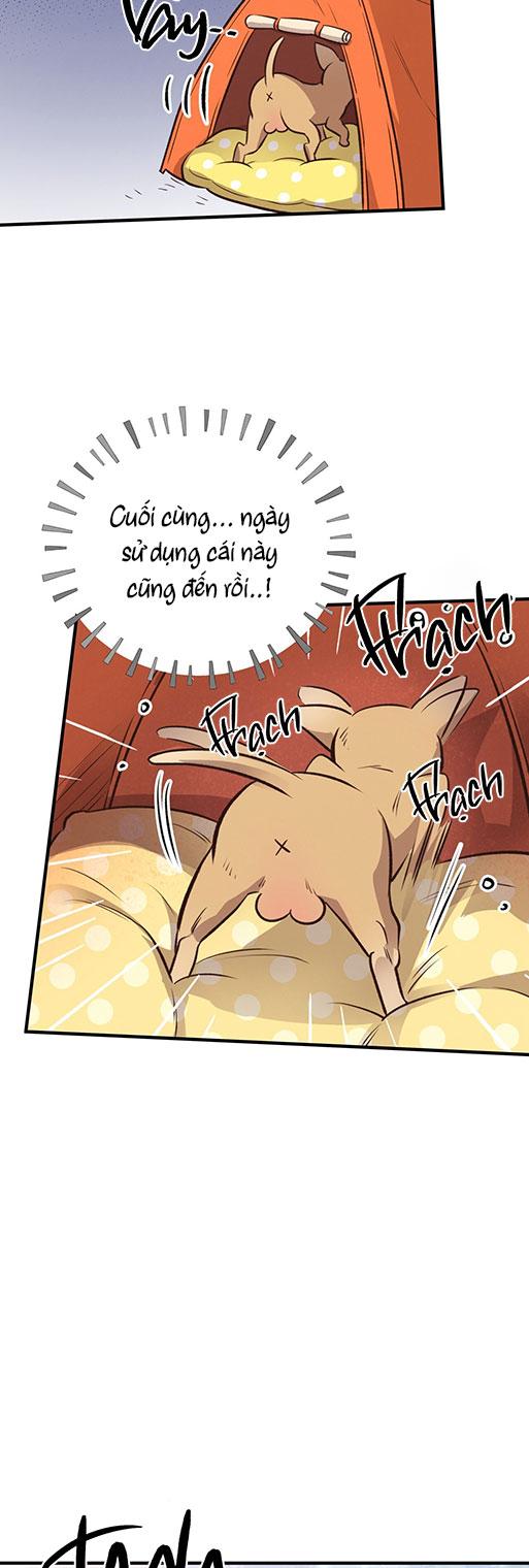 mật gấu chapter 26 69