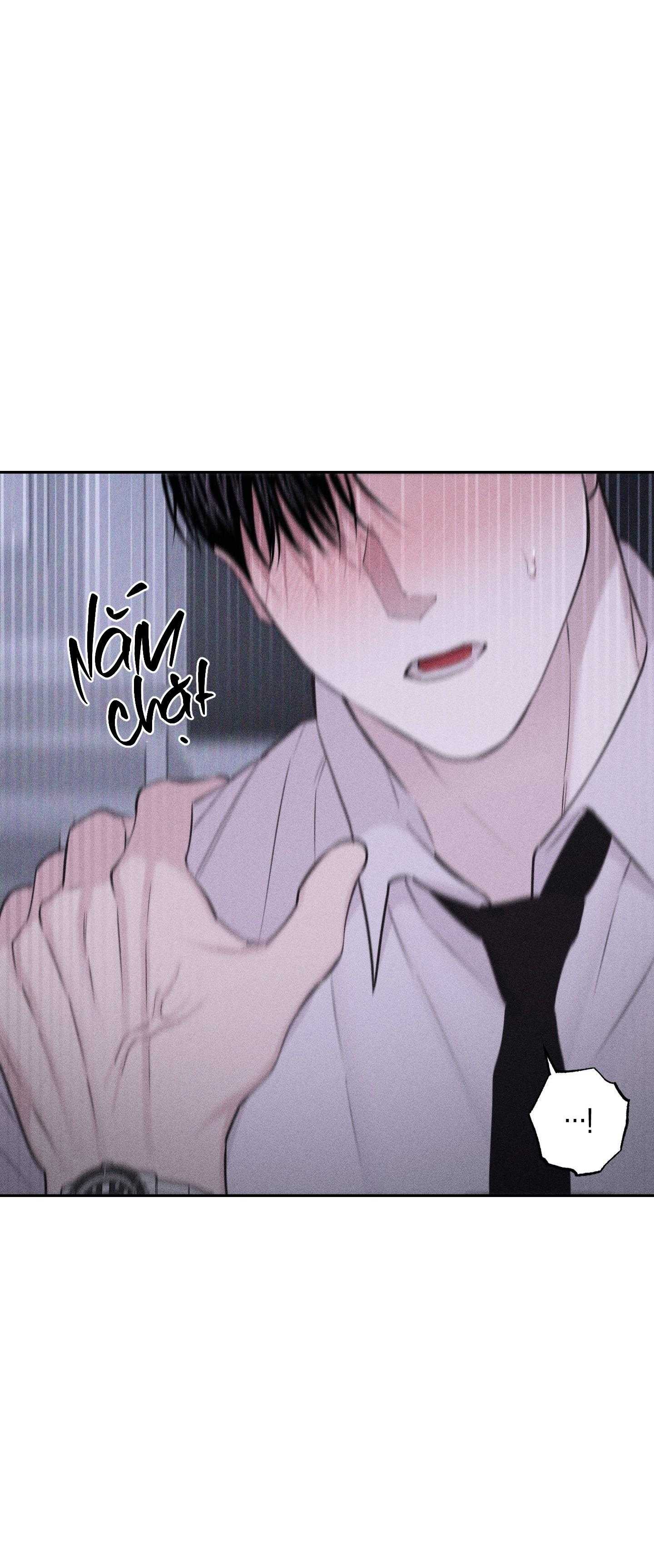 hình thái tình tan chapter 44 50