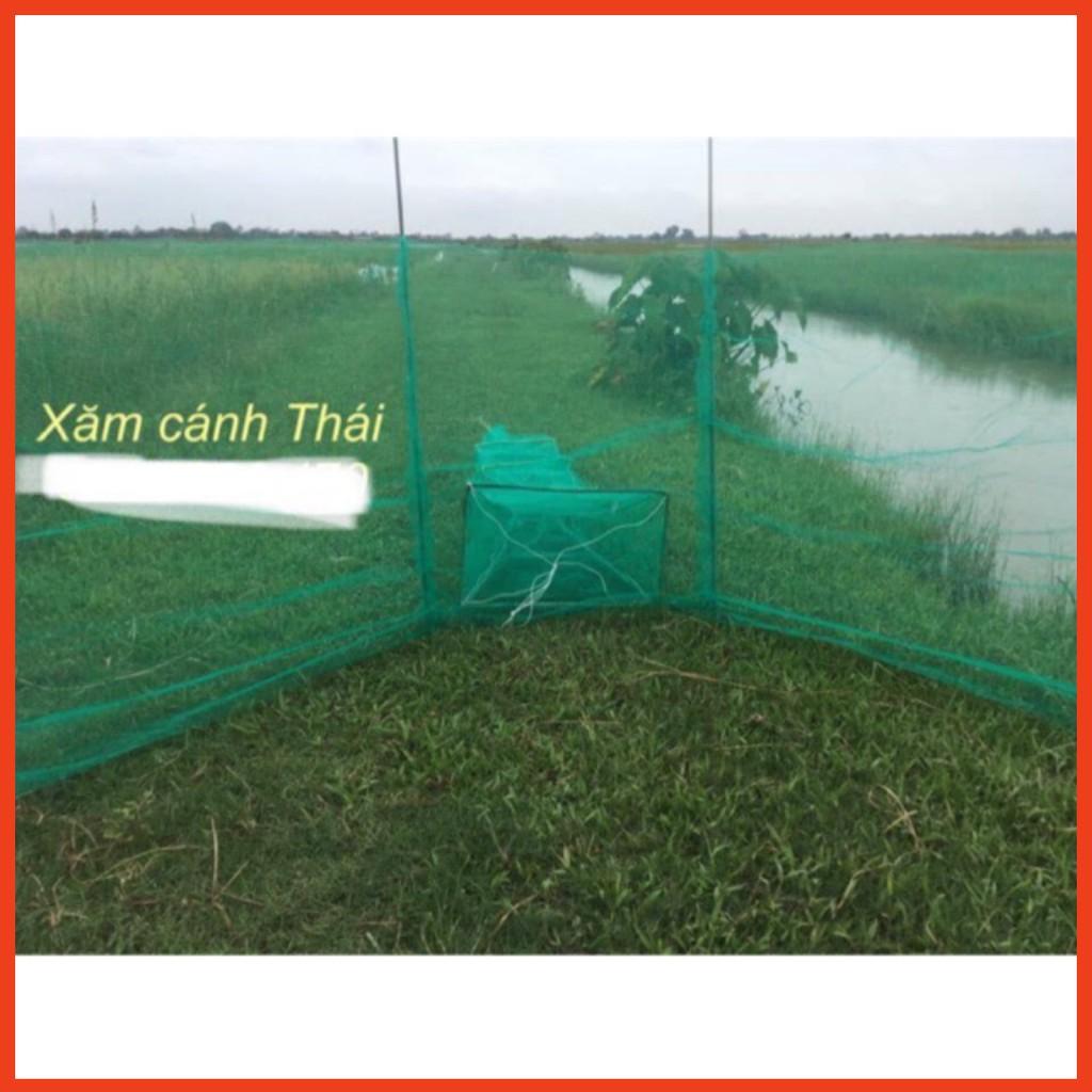 Xăm, dớn, chặn sông bắt cá hàng thái lan y hình