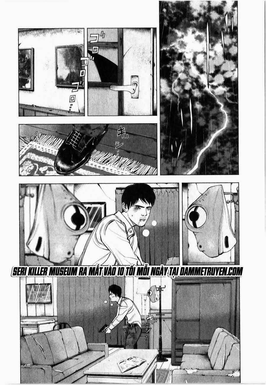 museum chapter 13 14