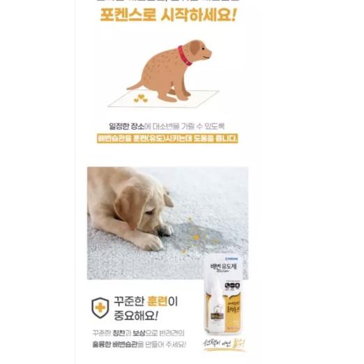 Dung dịch hướng dẫn chó đi vệ sinh đúng chỗ Forcans Good Puppy 80ml