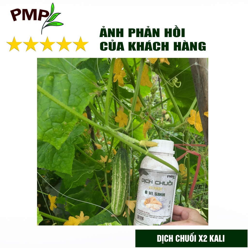 Dịch Chuối Humic PMP Vi Sinh Chuyên Dùng Cho Hoa Hồng, Hoa Lan, Rau Sạch 1000ml