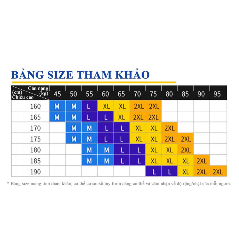 Quần bơi nam boxer cao cấp DESMIIT QB44 - XXL