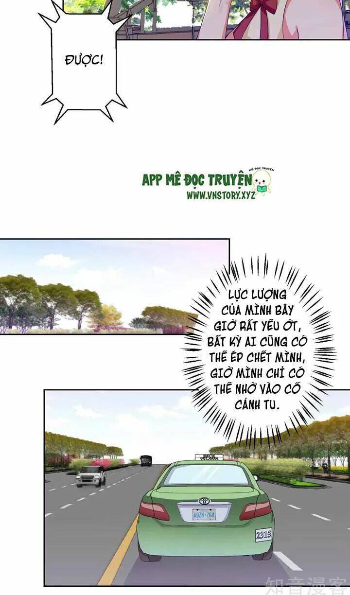 tổng tài đại nhân thật xấu hổ chapter 77 20