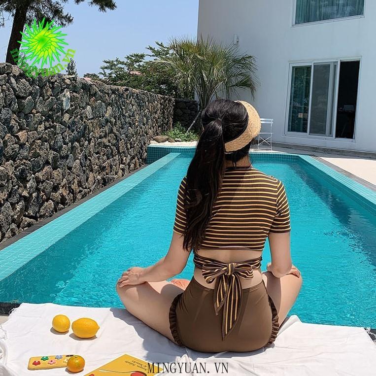 Two-piece blue brown half sleeve striped embroidered high waist sexy high waist bikini female bikini swimsuit