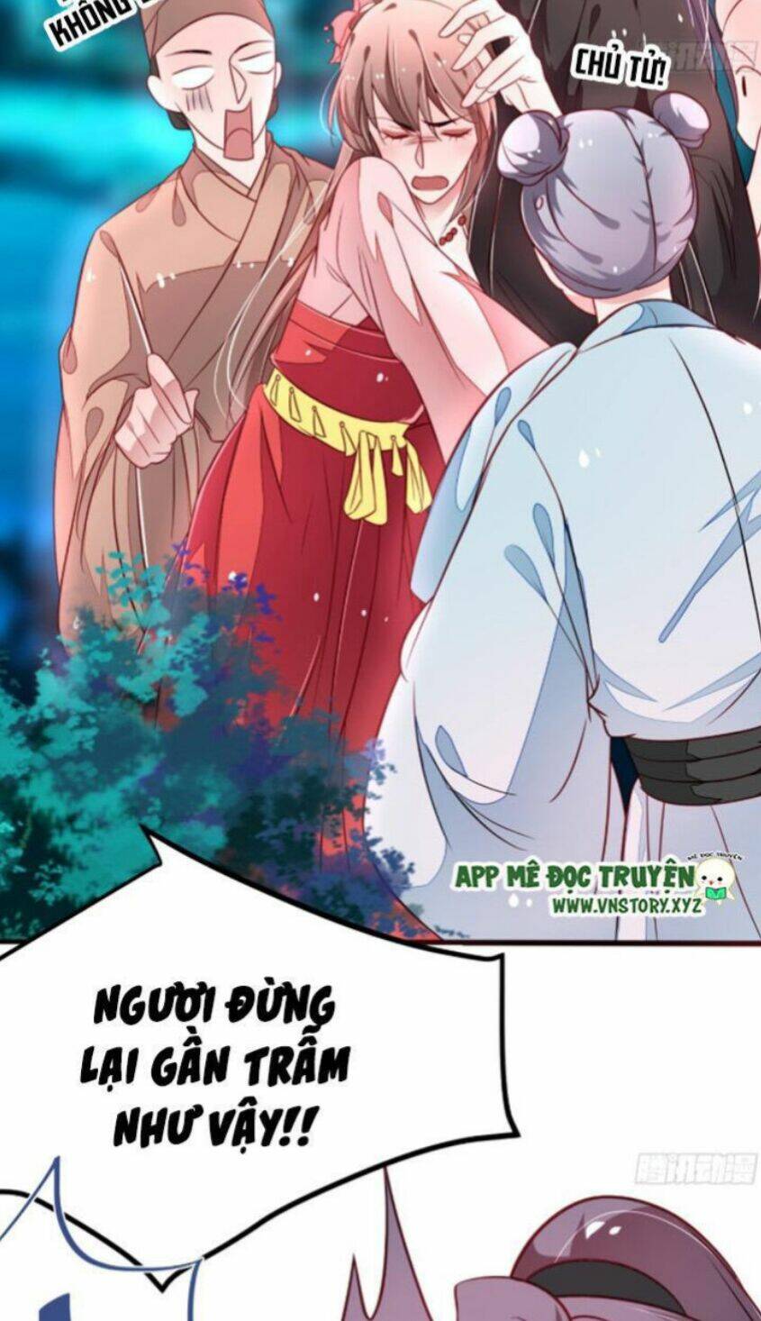 trọng sinh đế phi: quyền khuynh thiên hạ chapter 27 33