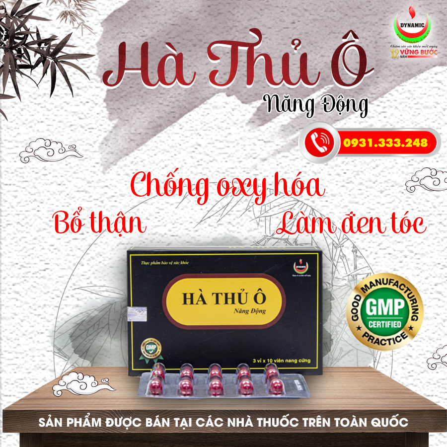 HÀ THỦ Ô NĂNG ĐỘNG - NĂNG ĐỘNG - LÀM ĐEN RÂU TÓC