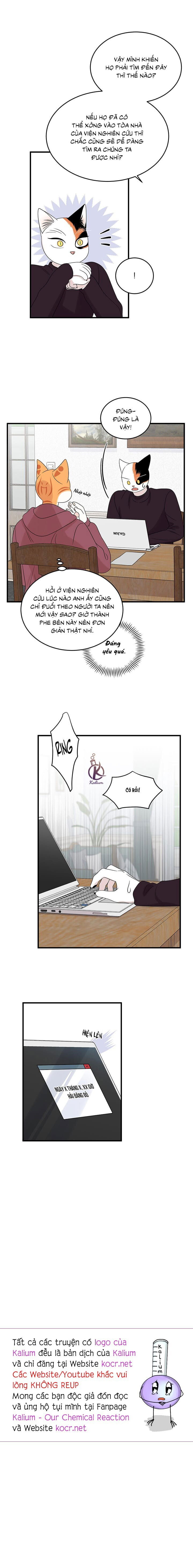 dự án xanh chapter 56 16