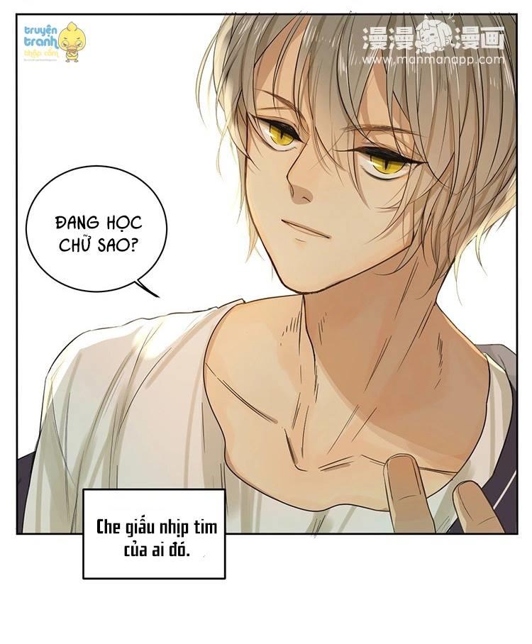 cứu mạng ! loài mèo thống trị thế giới rồi ! chapter 13 22