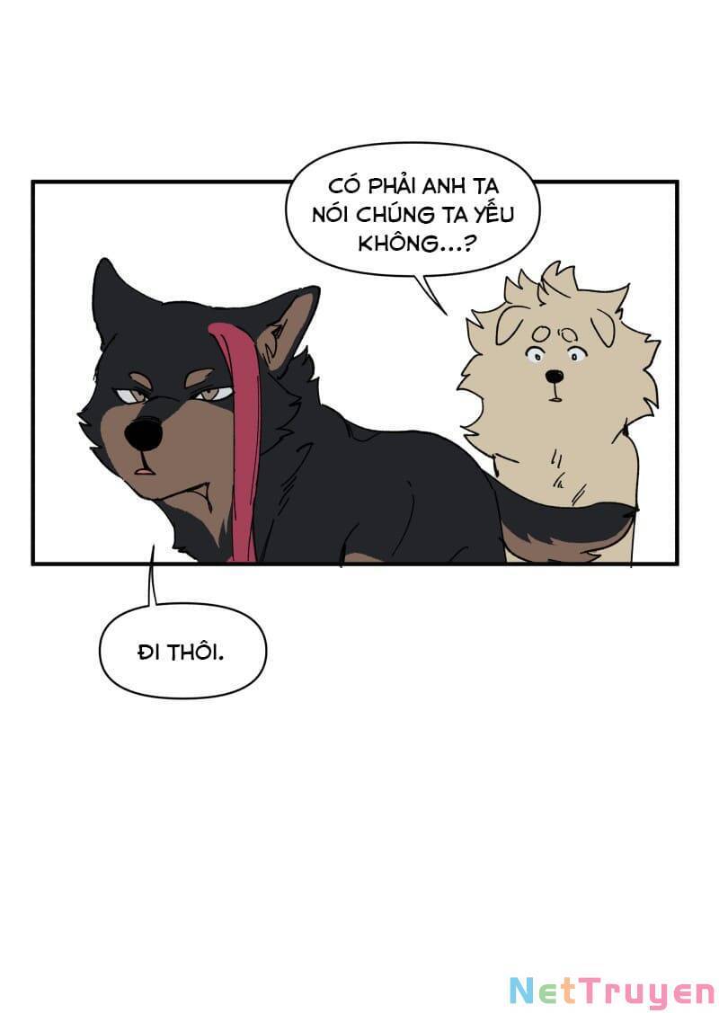 lumine - cội nguồn ánh sáng chapter 154 24