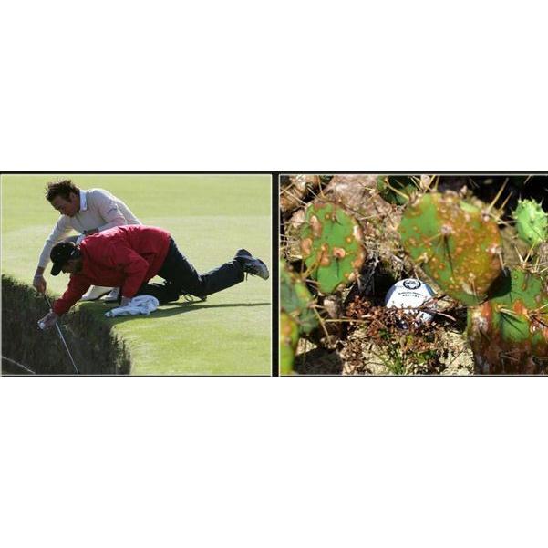 Gậy vớt bóng golf thể thao tiện lợi phụ kiện không thể thiếu khi chơi