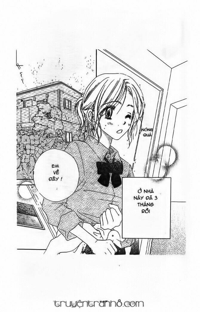 gió xuân chapter 8 8