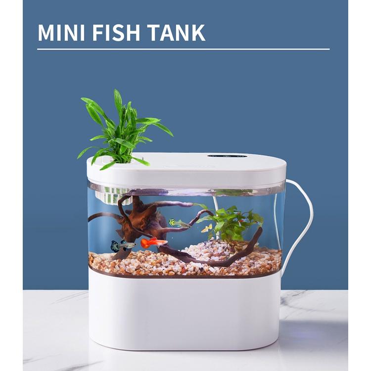Bể cá thủy sinh mini để bàn làm việc 05