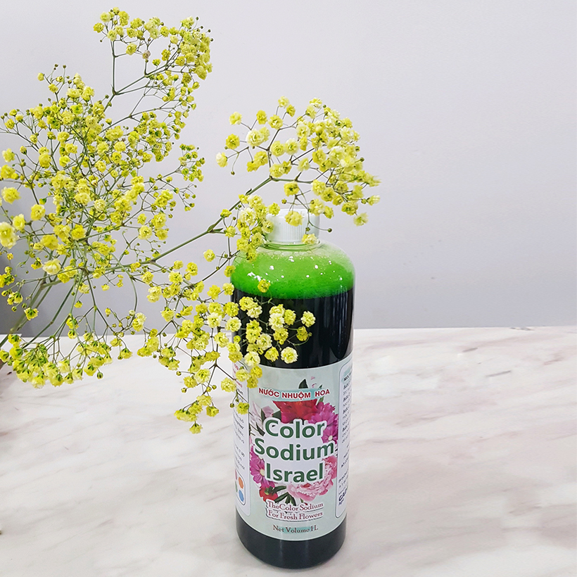 Dung Dịch Nhuộm Hoa Cắt Cành Đổi Màu theo Công Nghệ Israel giúp hoa nhuộm đổi màu theo ý muốn – The Color Sodium for Fresh Flowers