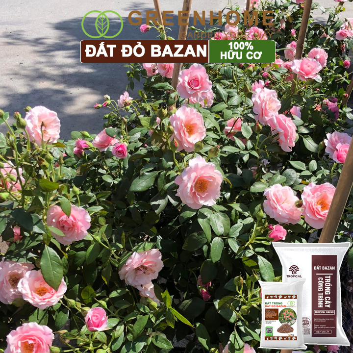 Đất Đỏ Bazan Greenhome, Bao 20 Lít (12kg), Đất Trồng Cây, Bổ Sung Phân Hữu Cơ, Vi Sinh Trồng Hoa Hồng, Kiểng Lá, Rau