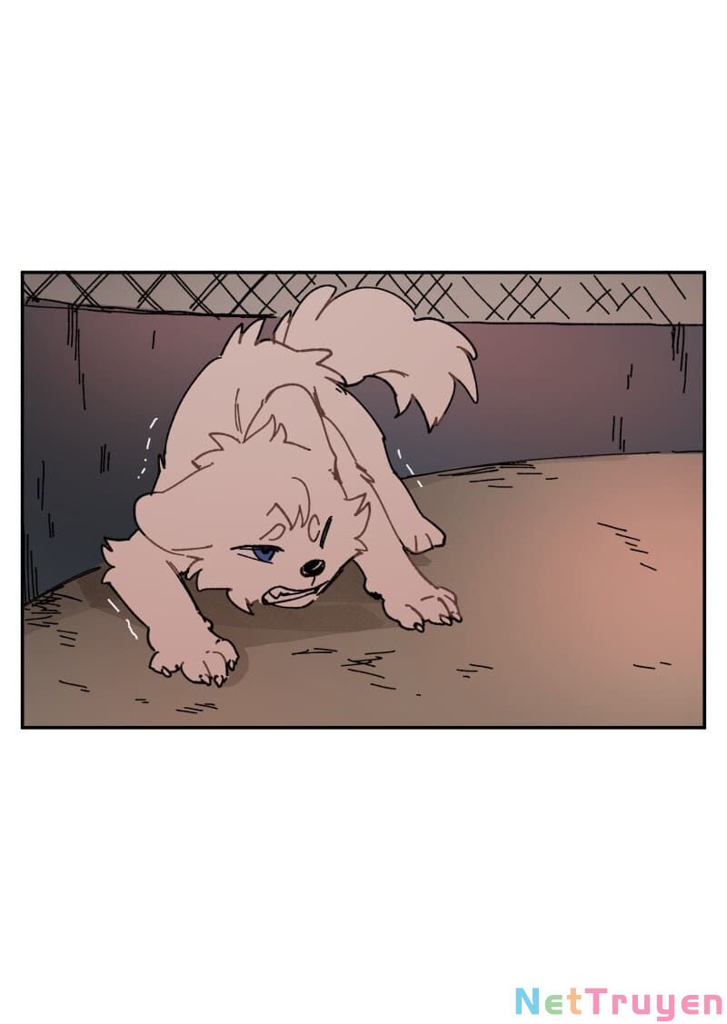 lumine - cội nguồn ánh sáng chapter 107 16