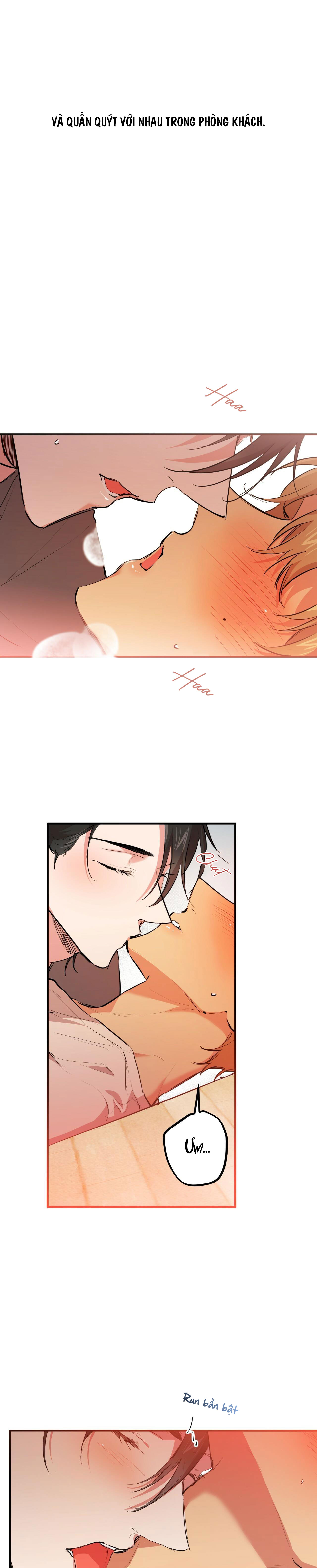 những chú thỏ của hapypy chapter 28 36